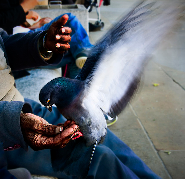 Feeding Hands